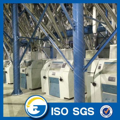 100 ton wheat and flour milling machines