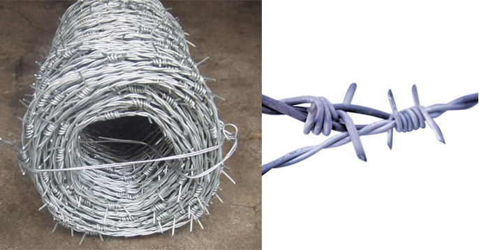 Galvanized Barbed Wire