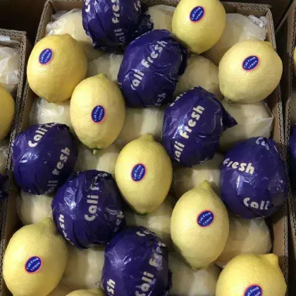 Lemon Lime Limone Citric