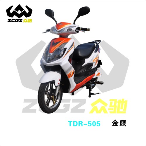 China Hot Sale Zcgz High Power E Electric Motorcycle (TDR-505)