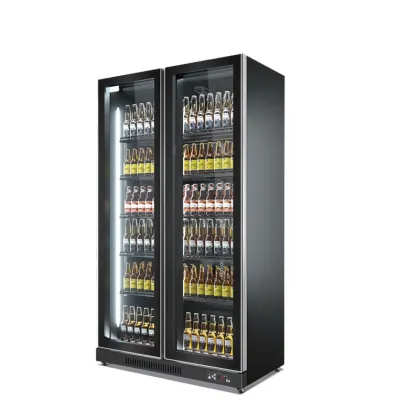 Double Door Bar Chiller Refrigerator: Sub Zero Beer Fridge & Commercial Freezer Showcase