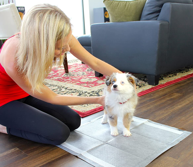 Puppy Pads for Puppy Housebreaking