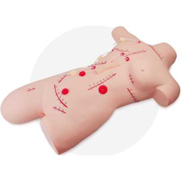 অস্ত্রোপচারের suturing এবং ব্যান্ডেজিং মডেল