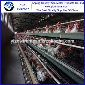 Hot sale chicken egg laying cage /egg laying chickens cage (manufacturer)