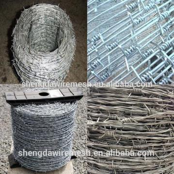 Hot sale fashion design colored barbed wire for lawn
