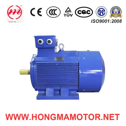 Servo Motor, Electric Motor -Hongma Brand