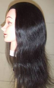 Training Head (TH-001)