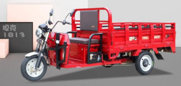 electric tricycle adults 60v2500w electric trike