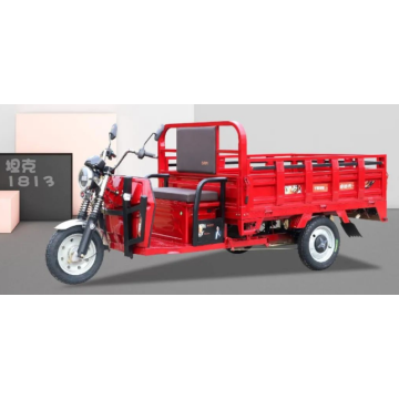 Electric Tricycle Adults 60V2500W Electric Trike