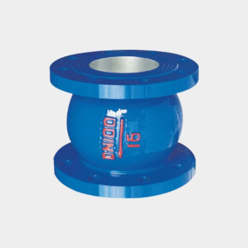 What are the key points in the installation of Check Valve and their