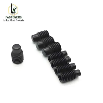 Hexagon socket dog point set screws