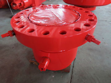 Casing head