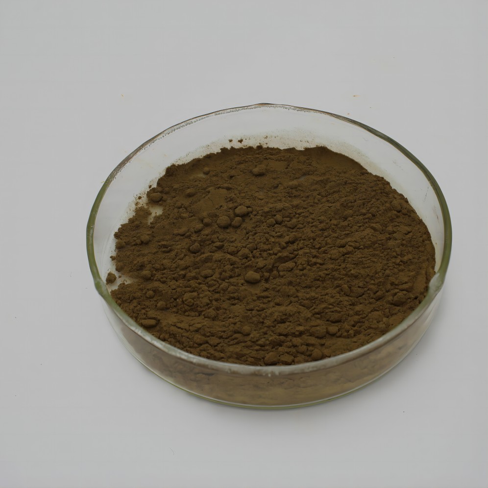 Poudre De Racine De Kudzu (Pueraria Lobata) De Haute Qualité - EVEREST NUTRITION, 2 Ans D'expiration