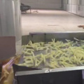 Ligne de production de frites entièrement automatique