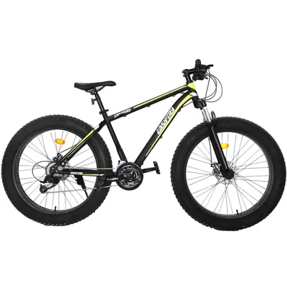 Wholesale High Quality Cheap Snow Bike Fork and Fat Tire Bicycles