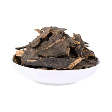 High-Quality Scrophulariae Radix Enhances Herbal Treatments
