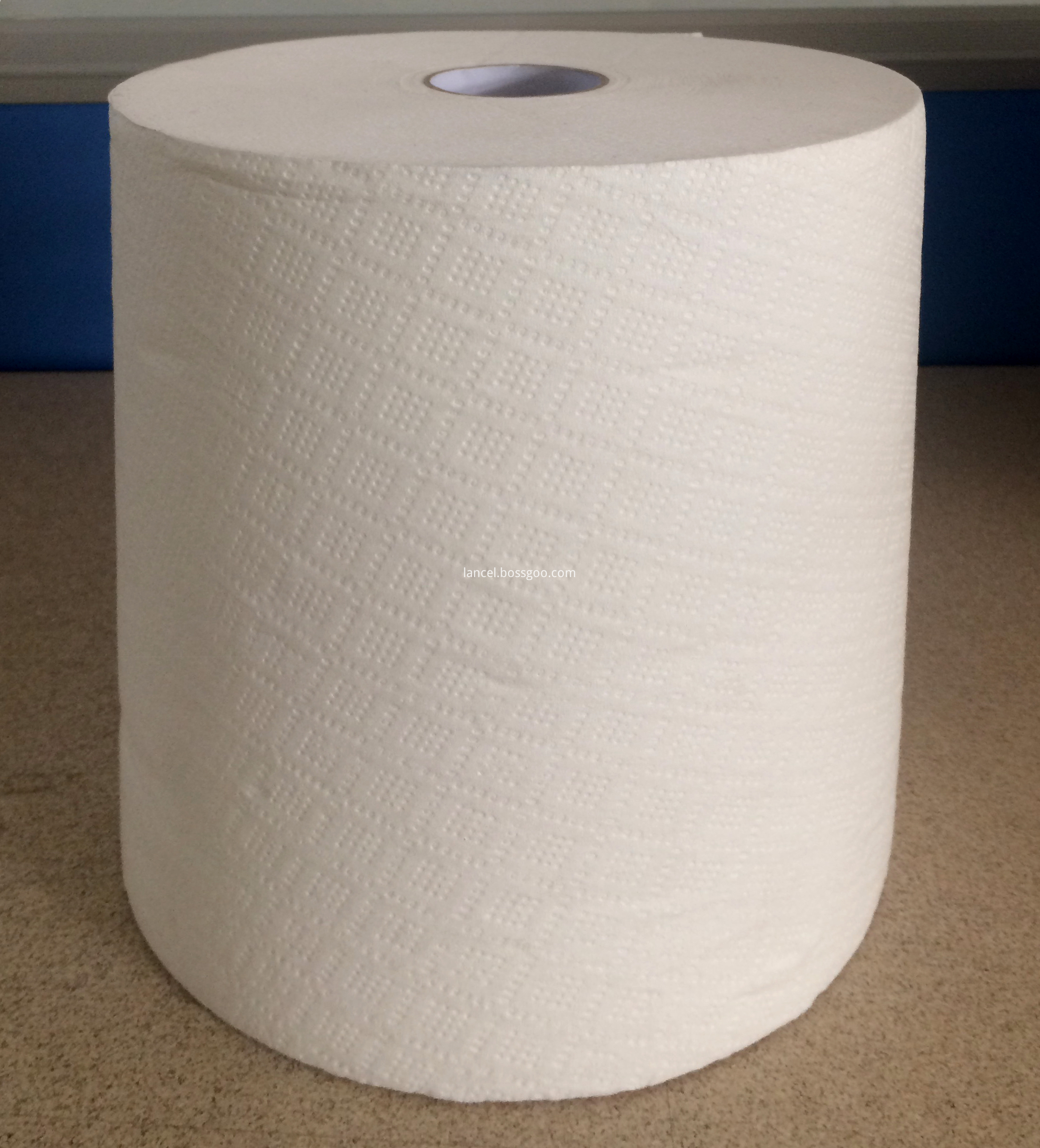 Paper Towel Roll