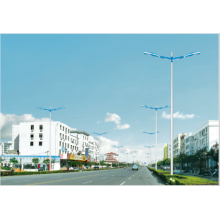 LED Characteristic Street Lamp Lighting