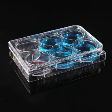 12 well tissue culture plate