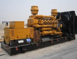 Biogas Generator Set Powered by Perkins Cummins Deutz Engine