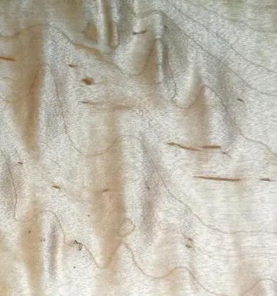 Canadian maple Engineered floor