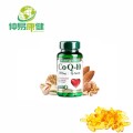 Bulk Coenzyme Q10 (CoQ10) Powder