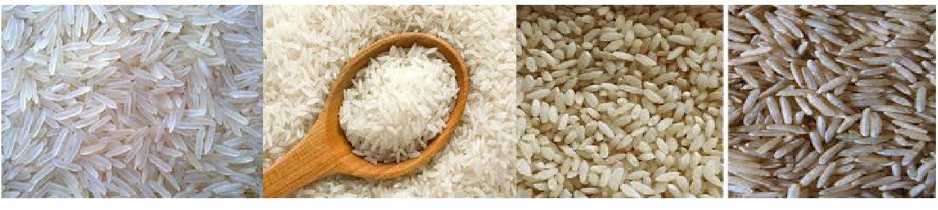 Nutritional Rice Machinery
