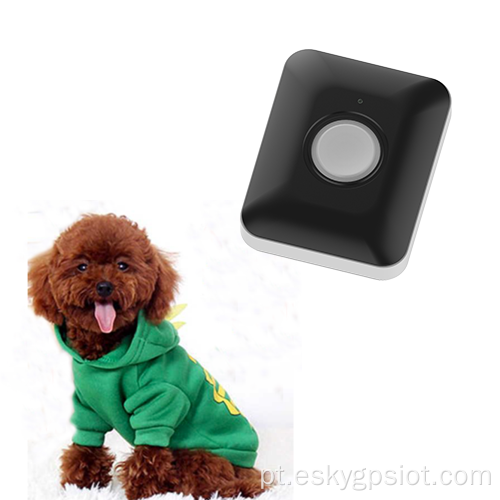 Rastreadores de GPS inteligentes para cães
