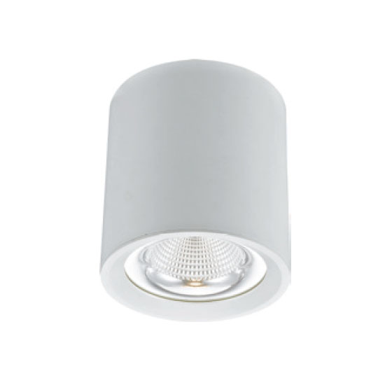 Decorative Cylindrical 40W LED Downlight