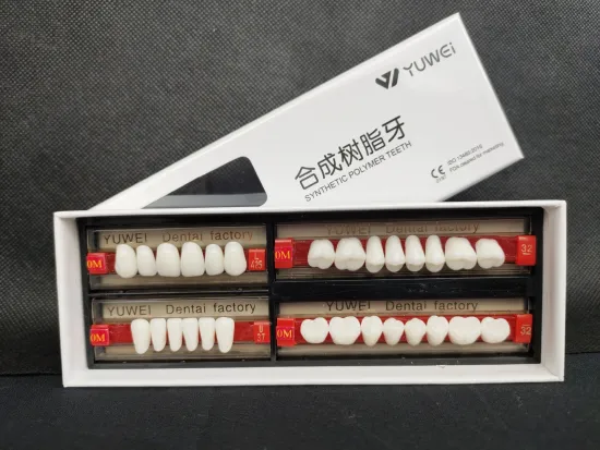 CE Two Layers Synthetic Polymer Teeth