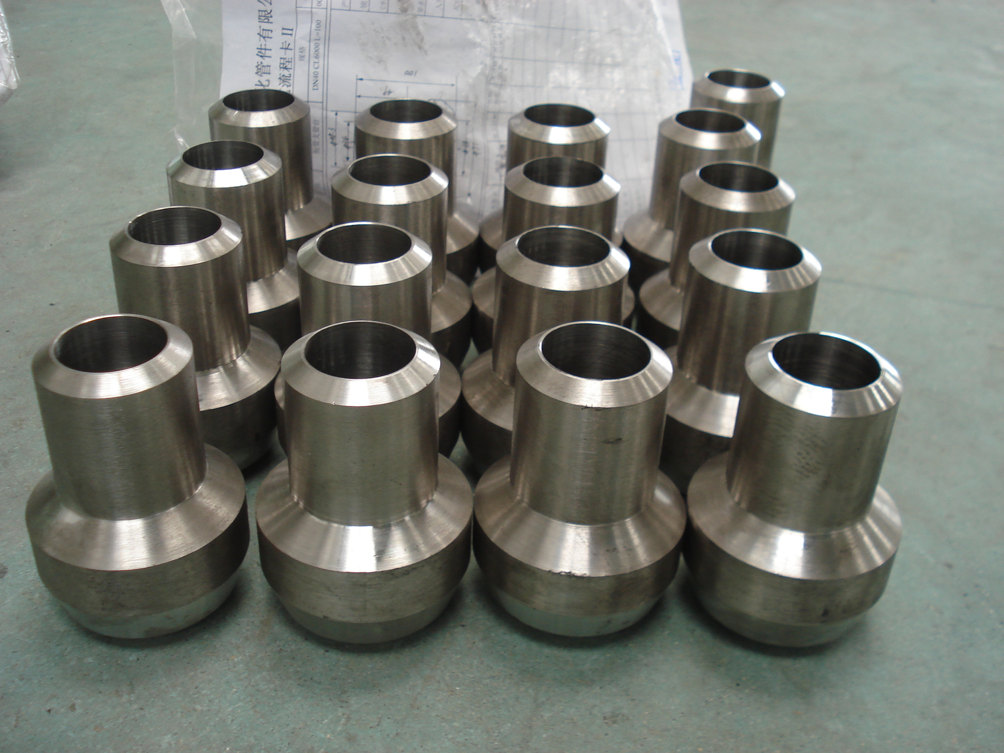SS304 Steel Nipolet Fittings