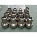 SS304 Steel Nipolet Fittings