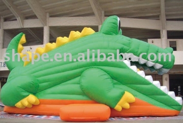 inflatable cayman