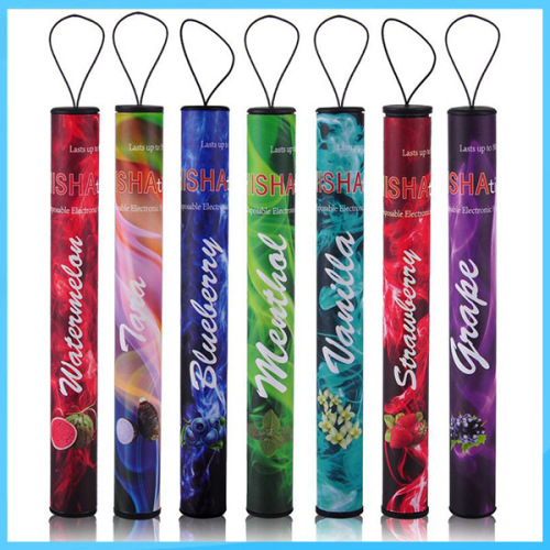 Shisha Einweg E-Shisha Shisha Pen Menthol (500 Puff)