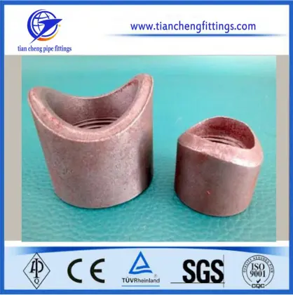 Carbon Steel Welded Outlets