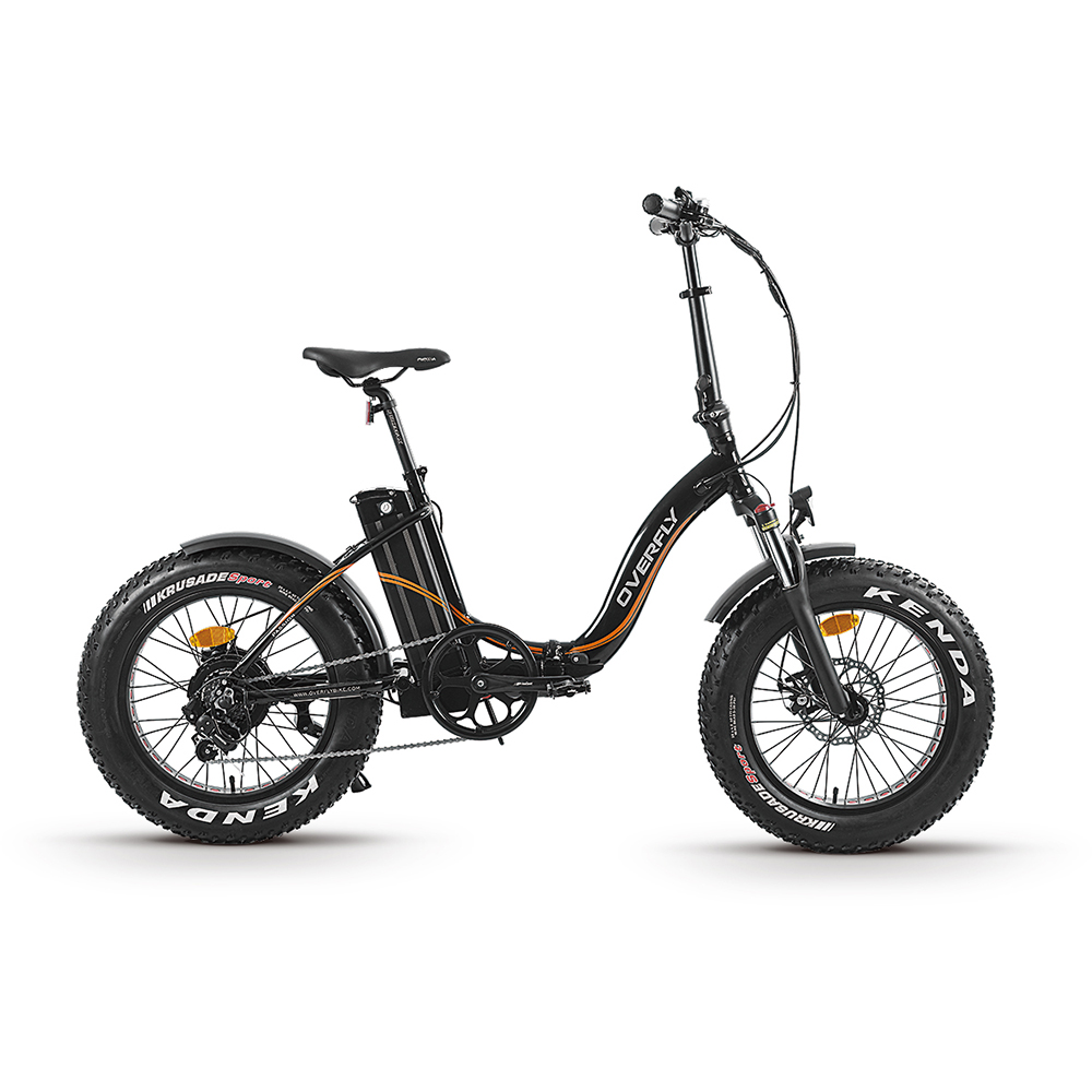 fat ebike