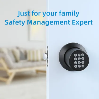 Baoxin Factory Keyless Entry Smart Lock Systems