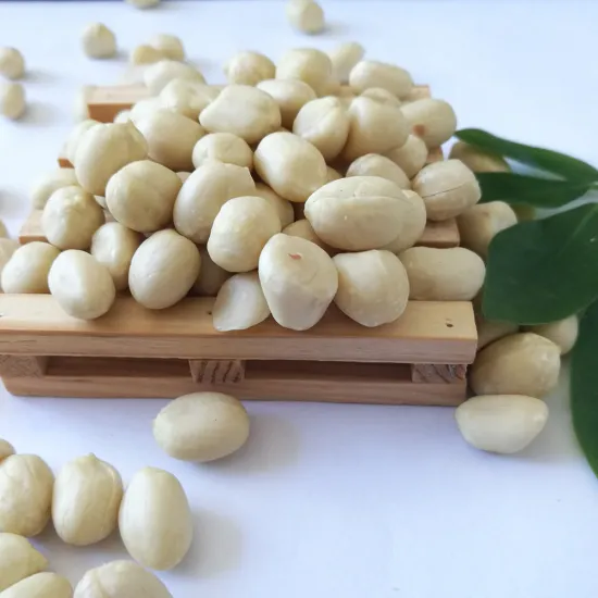 Shandong origin hot selling blanched peanut kernels