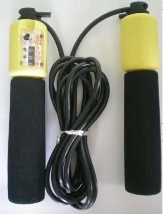 Counting Jump Rope (JR-02)