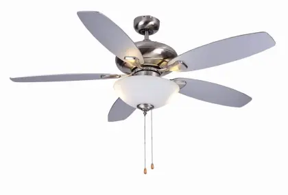 Traditional ceiling fans with 2 lights