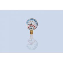 Temperature pressure gauge