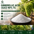 حمض الجبريليك GA3 90% TC منظم نمو النبات