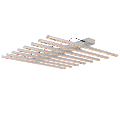 No Sun Indoor Plants GE Planting