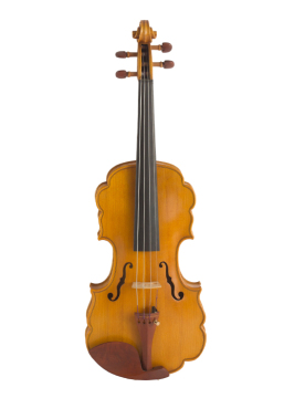 Jujube Parts Laciness Violin