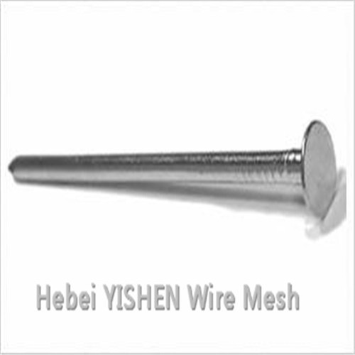 galvanized concrete nails2_ galvanized concrete nails2_