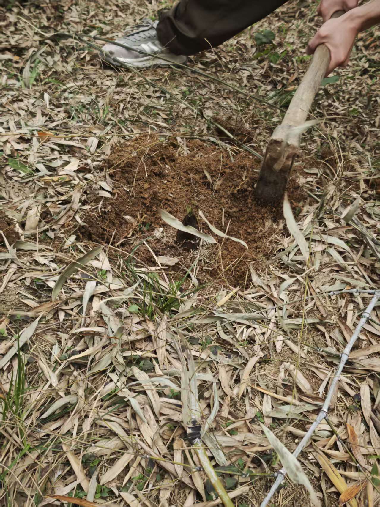 e5142311b8348b552a1d1e8e98605d7c