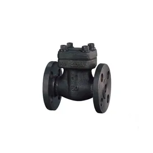 A105 Forged Steel Check Valve