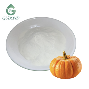 Pumpkin Seed Protein for Plant-Based Food Applications