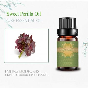 High qualitgy sweet perilla essential oil bulk price