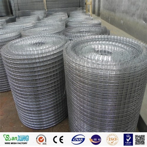 Galvanized Welded Bird Aviary Wire Mesh